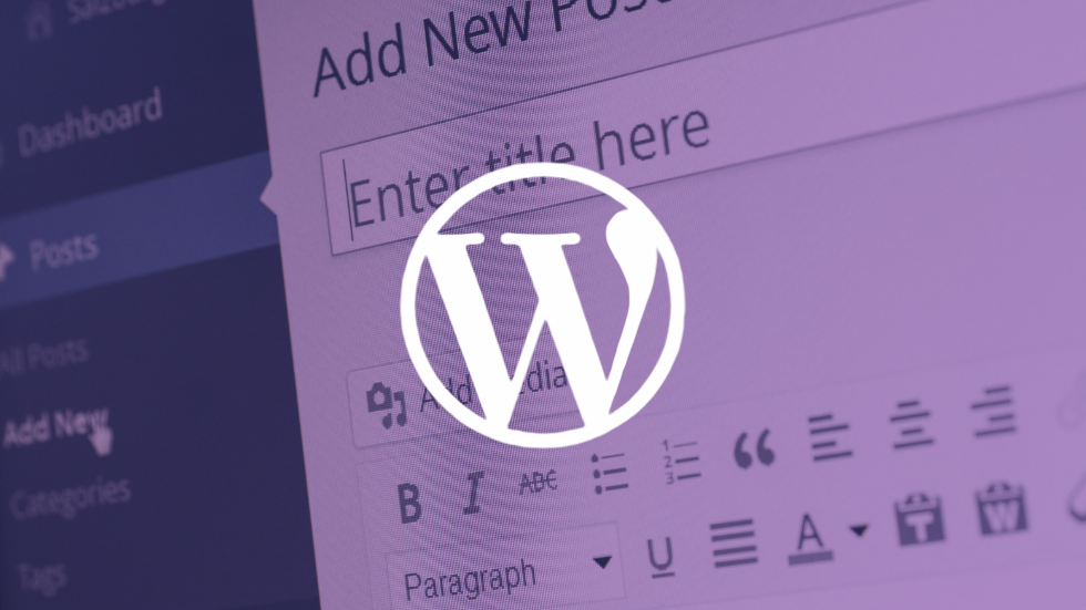 Which WordPress Theme is Best for Blogging